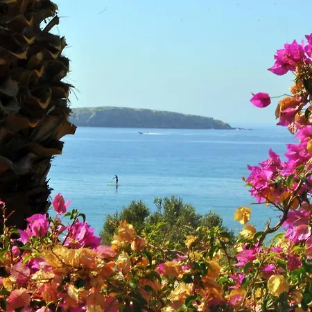 Nikoleta's דירה דריוס