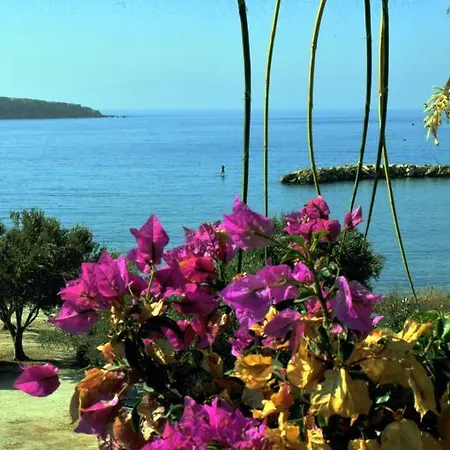 Nikoleta's *