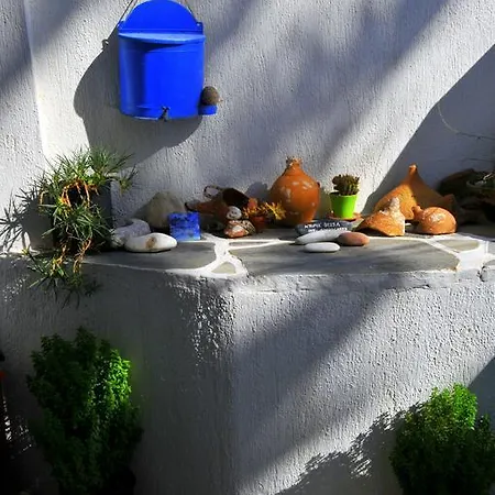 Nikoleta's * דריוס