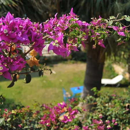 דירה Nikoleta's *