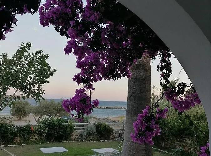 Nikoleta's * دريوس