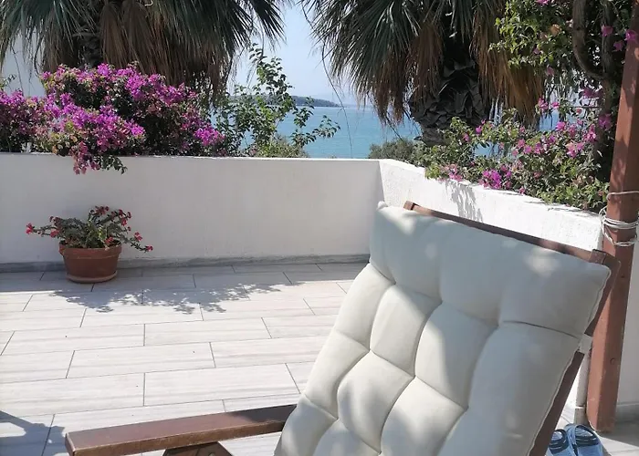 Nikoleta's دريوس