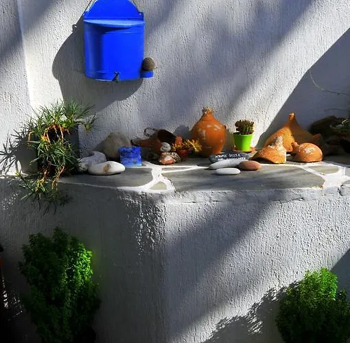 Nikoleta's * دريوس