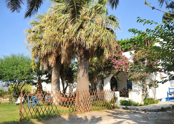 Nikoleta's دريوس