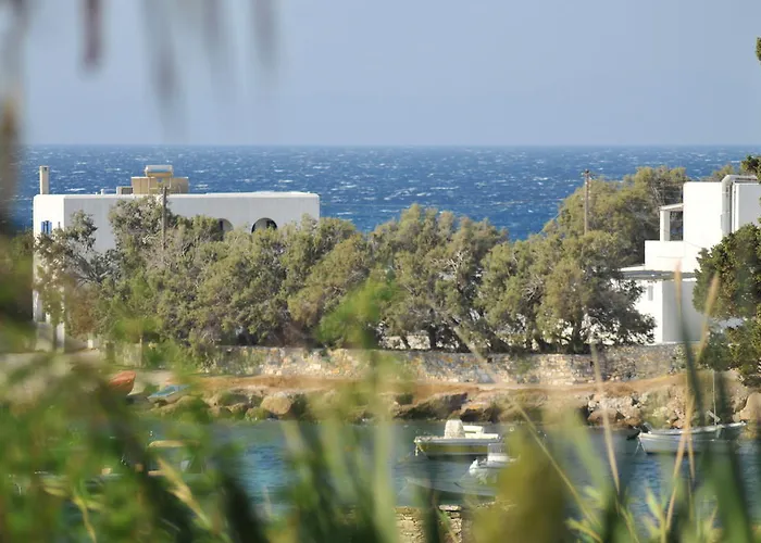 Nikoleta's دريوس