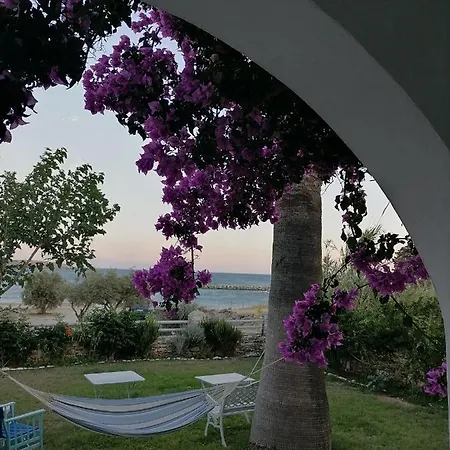 Nikoleta's * دريوس