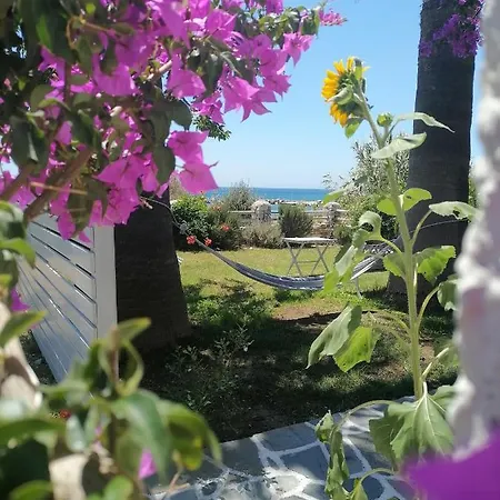 Nikoleta's شقة دريوس