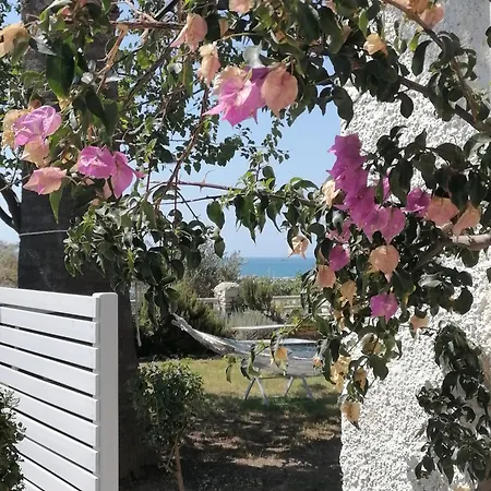 Nikoleta's Lejlighed