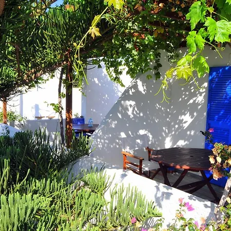 Nikoleta's * دريوس