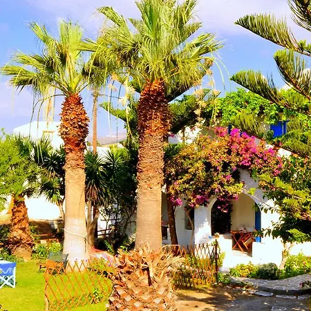 Nikoleta's * دريوس