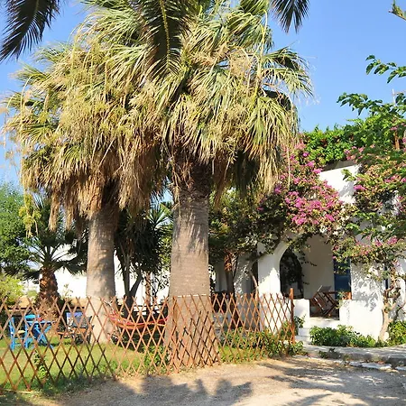 Nikoleta's دريوس