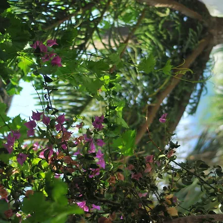 Appartamento Nikoleta's Drios