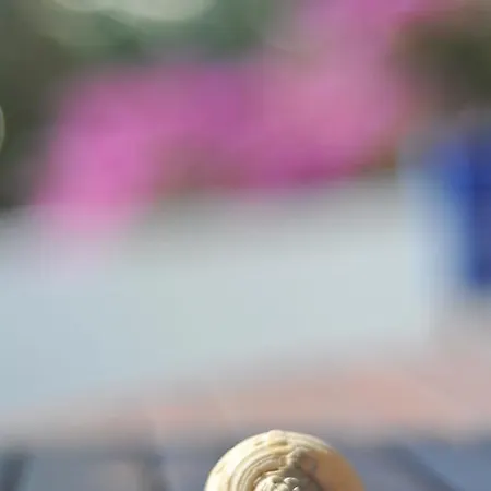 Appartamento Nikoleta's *