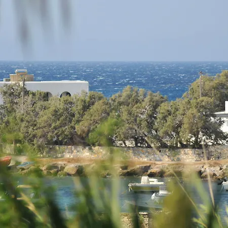 Nikoleta's دريوس