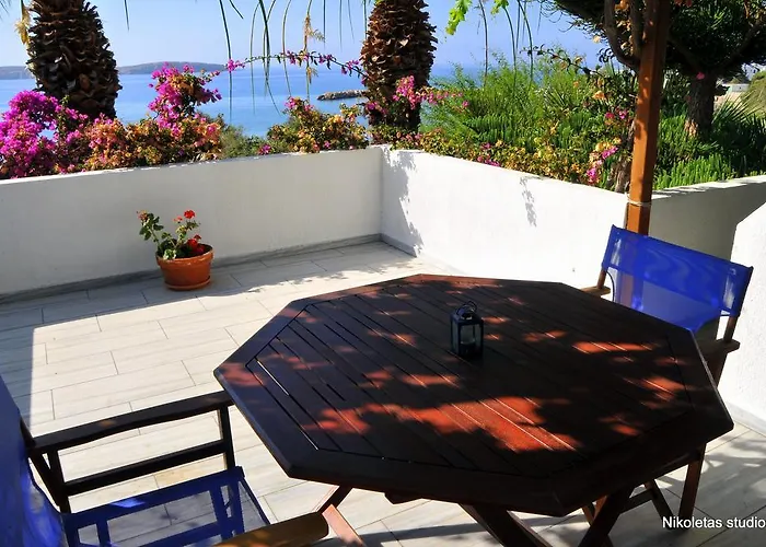 尼克勒塔一室公寓酒店