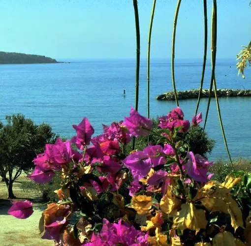 尼克勒塔一室公寓酒店 *