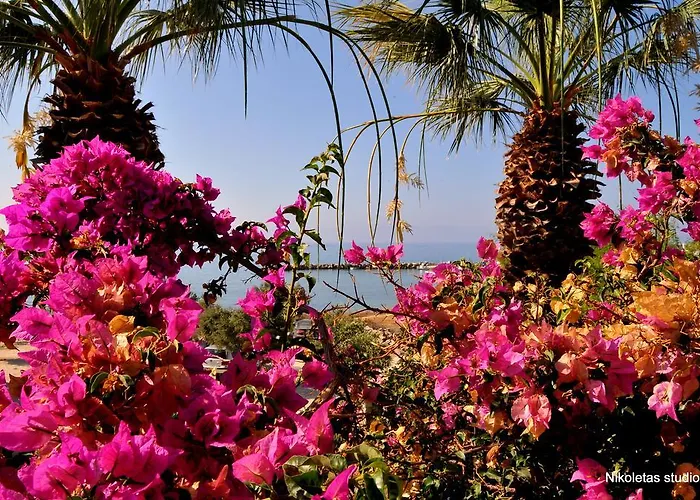 Apartment Nikoleta's *