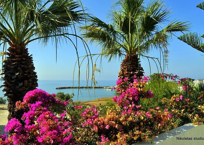 尼克勒塔一室公寓酒店 *