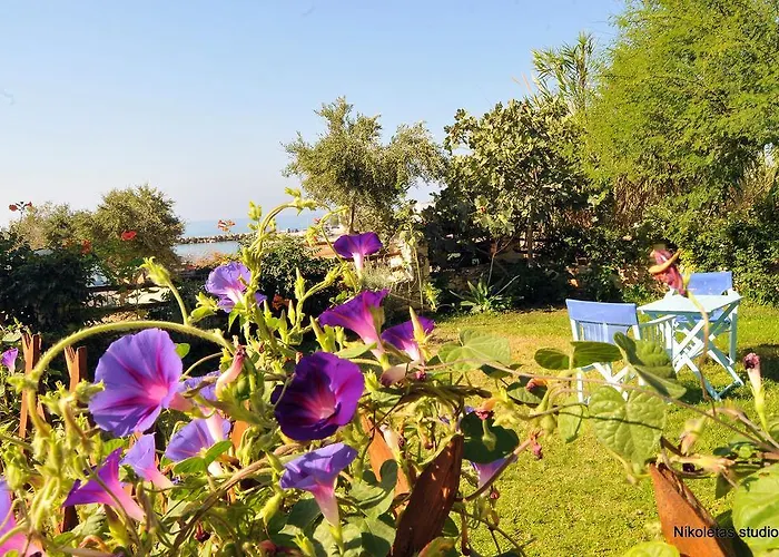 公寓 尼克勒塔一室公寓酒店 *