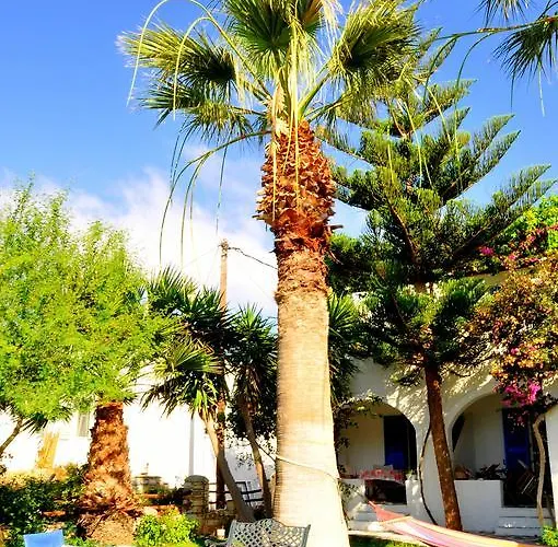 尼克勒塔一室公寓酒店 *