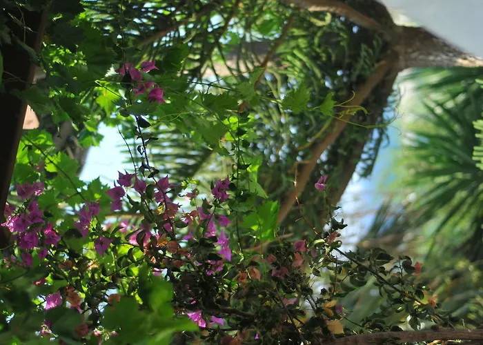 公寓 尼克勒塔一室公寓酒店 德里奥斯