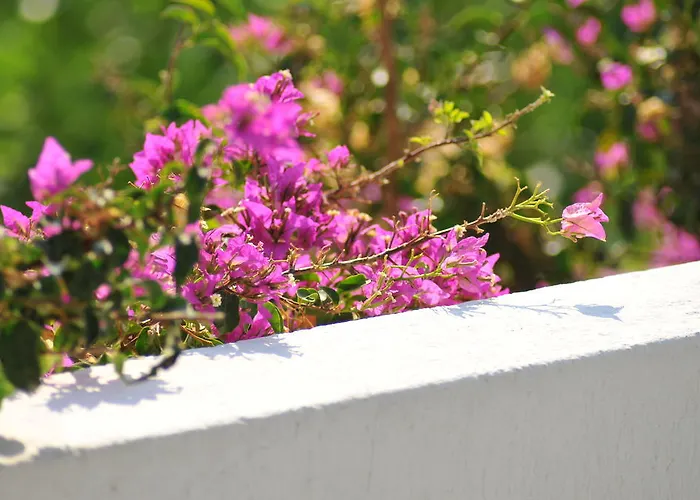 尼克勒塔一室公寓酒店