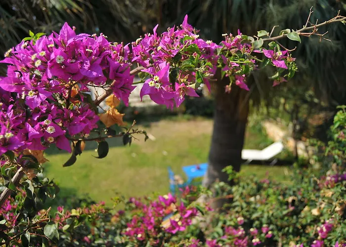 公寓 尼克勒塔一室公寓酒店 *