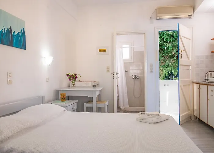 尼克勒塔一室公寓酒店 德里奥斯